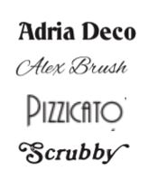 Choose a font for your senior's name. Available fonts: